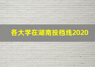 各大学在湖南投档线2020