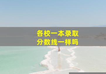 各校一本录取分数线一样吗