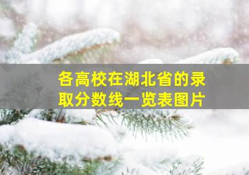 各高校在湖北省的录取分数线一览表图片