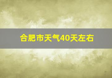 合肥市天气40天左右