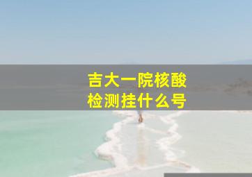 吉大一院核酸检测挂什么号