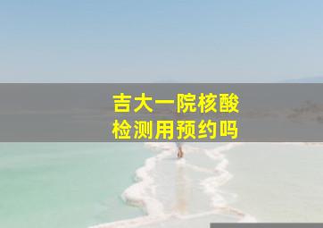 吉大一院核酸检测用预约吗