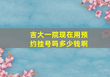 吉大一院现在用预约挂号吗多少钱啊