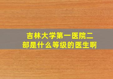 吉林大学第一医院二部是什么等级的医生啊