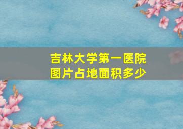 吉林大学第一医院图片占地面积多少