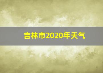 吉林市2020年天气