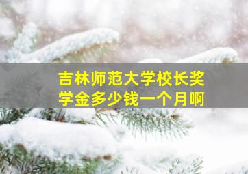 吉林师范大学校长奖学金多少钱一个月啊