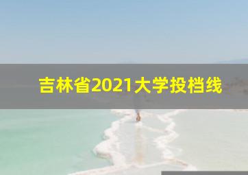 吉林省2021大学投档线