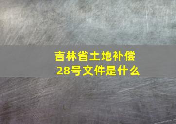 吉林省土地补偿28号文件是什么