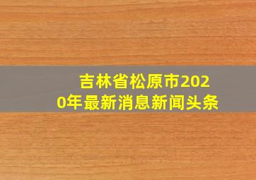 吉林省松原市2020年最新消息新闻头条