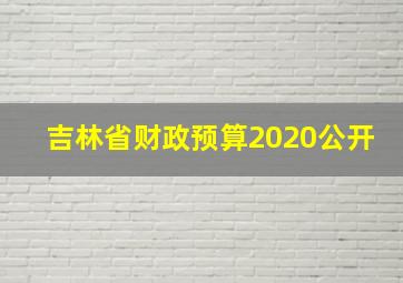 吉林省财政预算2020公开