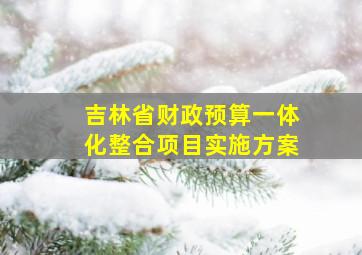 吉林省财政预算一体化整合项目实施方案