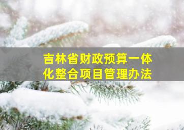 吉林省财政预算一体化整合项目管理办法