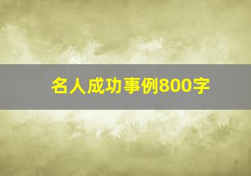 名人成功事例800字