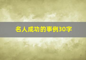 名人成功的事例30字