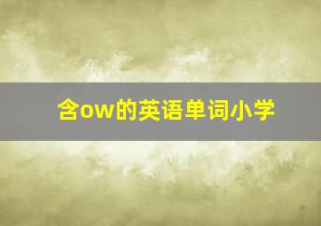 含ow的英语单词小学