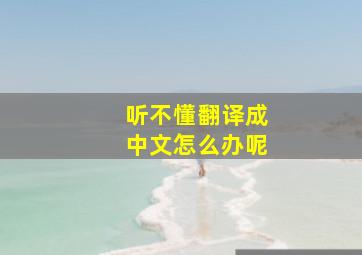 听不懂翻译成中文怎么办呢