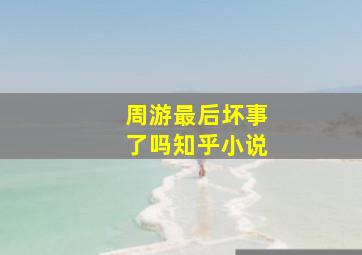 周游最后坏事了吗知乎小说