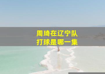 周琦在辽宁队打球是哪一集