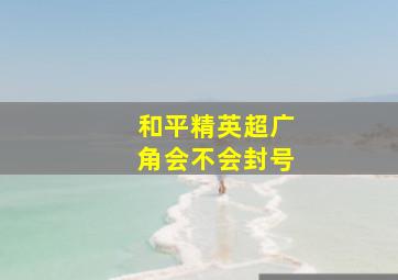 和平精英超广角会不会封号