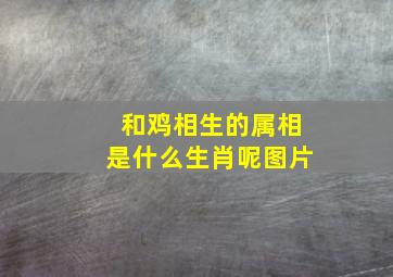 和鸡相生的属相是什么生肖呢图片