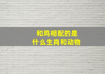 和鸡相配的是什么生肖和动物