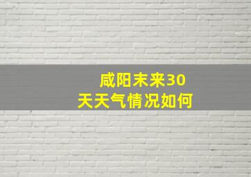 咸阳末来30天天气情况如何