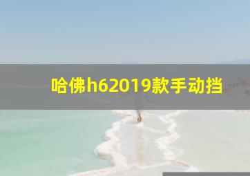 哈佛h62019款手动挡