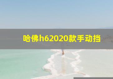 哈佛h62020款手动挡