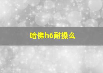 哈佛h6耐操么