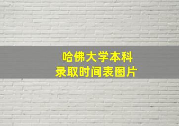 哈佛大学本科录取时间表图片