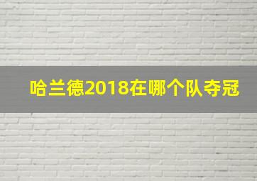 哈兰德2018在哪个队夺冠