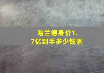 哈兰德身价1.7亿到手多少钱啊