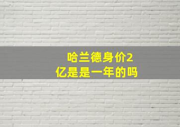 哈兰德身价2亿是是一年的吗