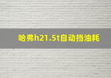 哈弗h21.5t自动挡油耗