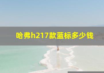 哈弗h217款蓝标多少钱