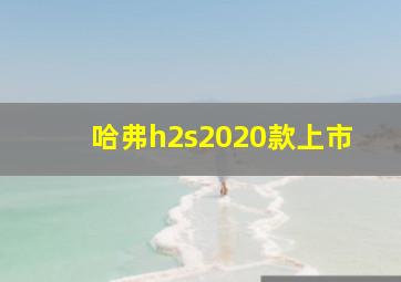 哈弗h2s2020款上市