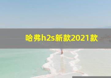 哈弗h2s新款2021款