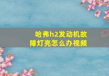 哈弗h2发动机故障灯亮怎么办视频