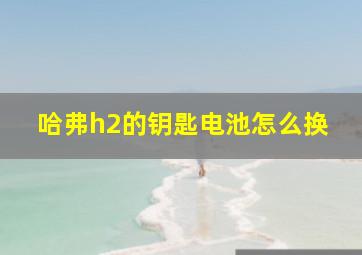 哈弗h2的钥匙电池怎么换