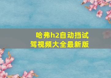 哈弗h2自动挡试驾视频大全最新版