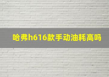 哈弗h616款手动油耗高吗