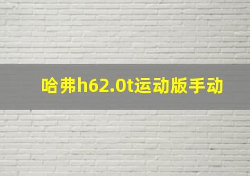 哈弗h62.0t运动版手动