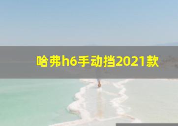 哈弗h6手动挡2021款