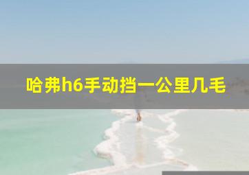 哈弗h6手动挡一公里几毛