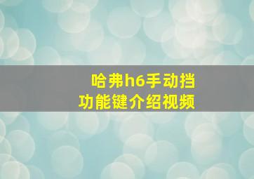 哈弗h6手动挡功能键介绍视频