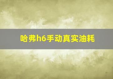 哈弗h6手动真实油耗