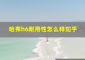 哈弗h6耐用性怎么样知乎