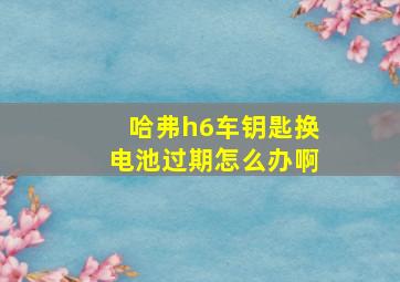 哈弗h6车钥匙换电池过期怎么办啊