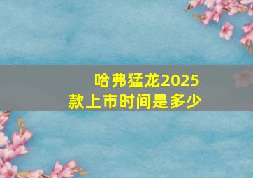 哈弗猛龙2025款上市时间是多少